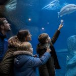Sorties nature en famille quand il pleut : 10 idées d’activités à l’abri en France