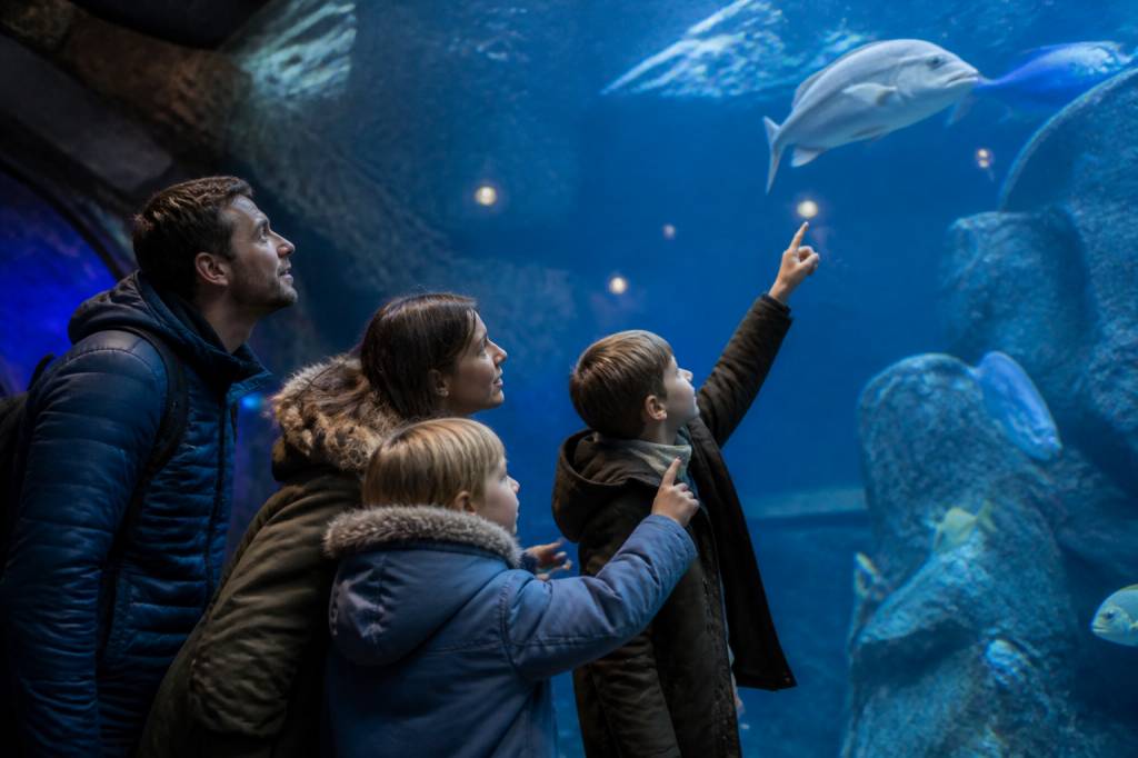 Sorties nature en famille quand il pleut : 10 idées d’activités à l’abri en France